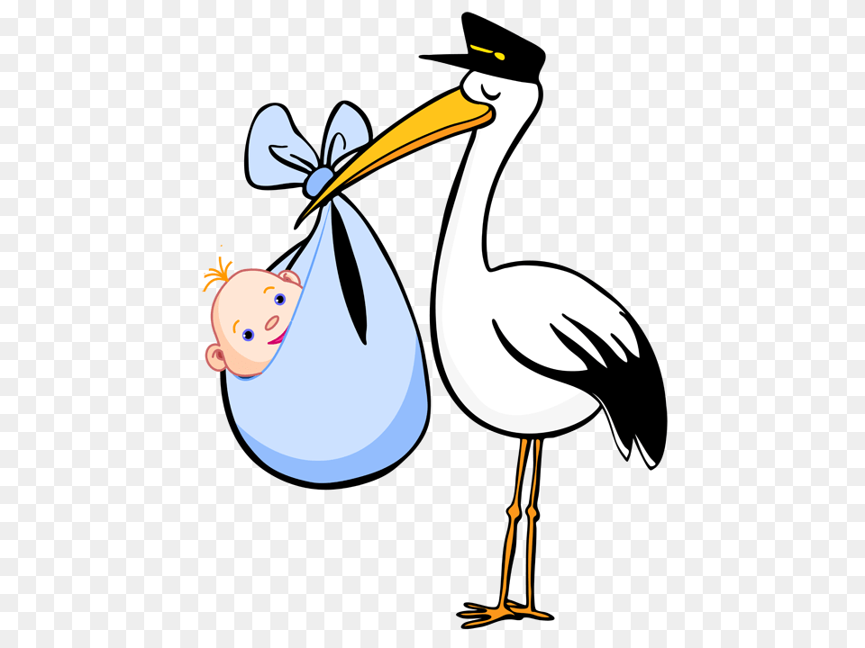 Digital Stamping Baby Baby, Animal, Waterfowl, Bird, Crane Bird Png