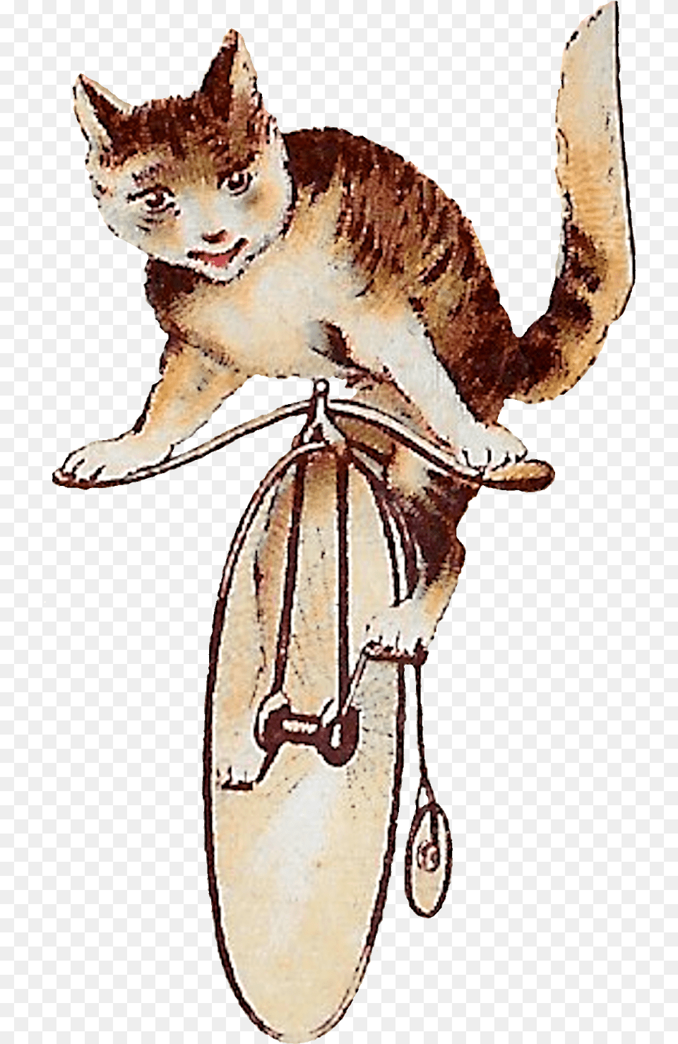 Digital Tabby Cats Riding Antique Bicycle Kitten, Animal, Dinosaur, Reptile, Cat Png