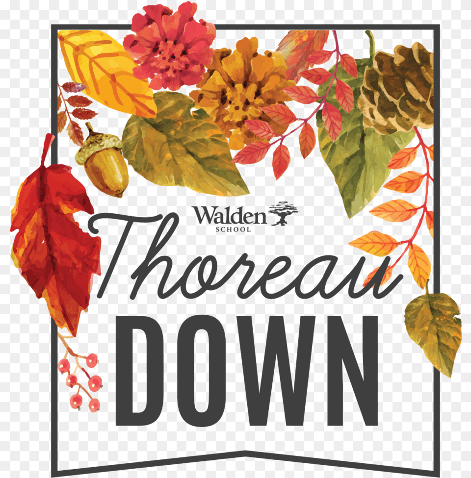 Digital Thoreau Down 2019 Logo Transparent Background Poinsettia, Food, Nut, Plant, Produce Png Image