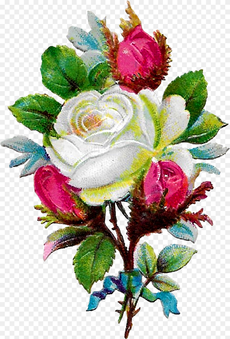 Digital White Rose Clip Art Floral Design, Flower, Graphics, Pattern Free Png Download