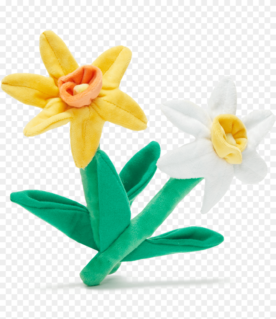Dilly Dally Daffodils U2013 Barkshop Lovely, Daffodil, Flower, Plant Free Png Download