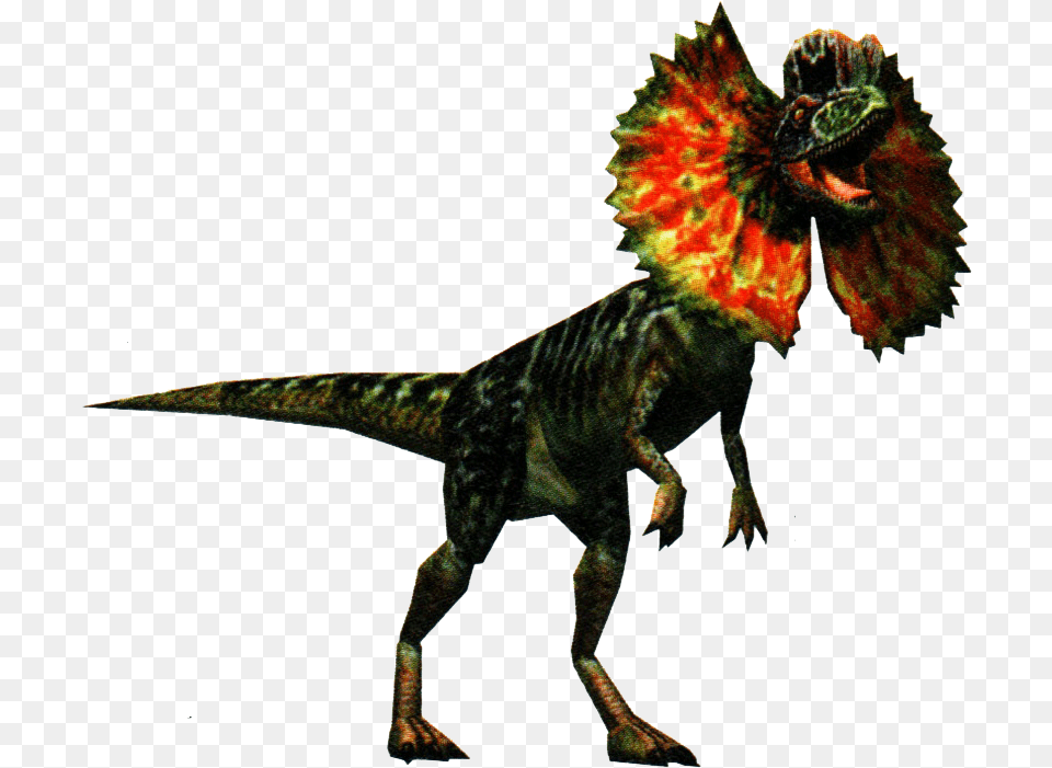Dilophosaurus Dilophosaurus, Animal, Dinosaur, Reptile, T-rex Free Png
