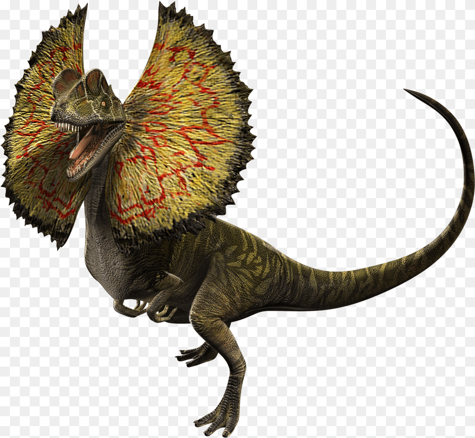 Dilophosaurus Jurassic World Dilophosaurus, Animal, Dinosaur, Reptile, T-rex Free Png