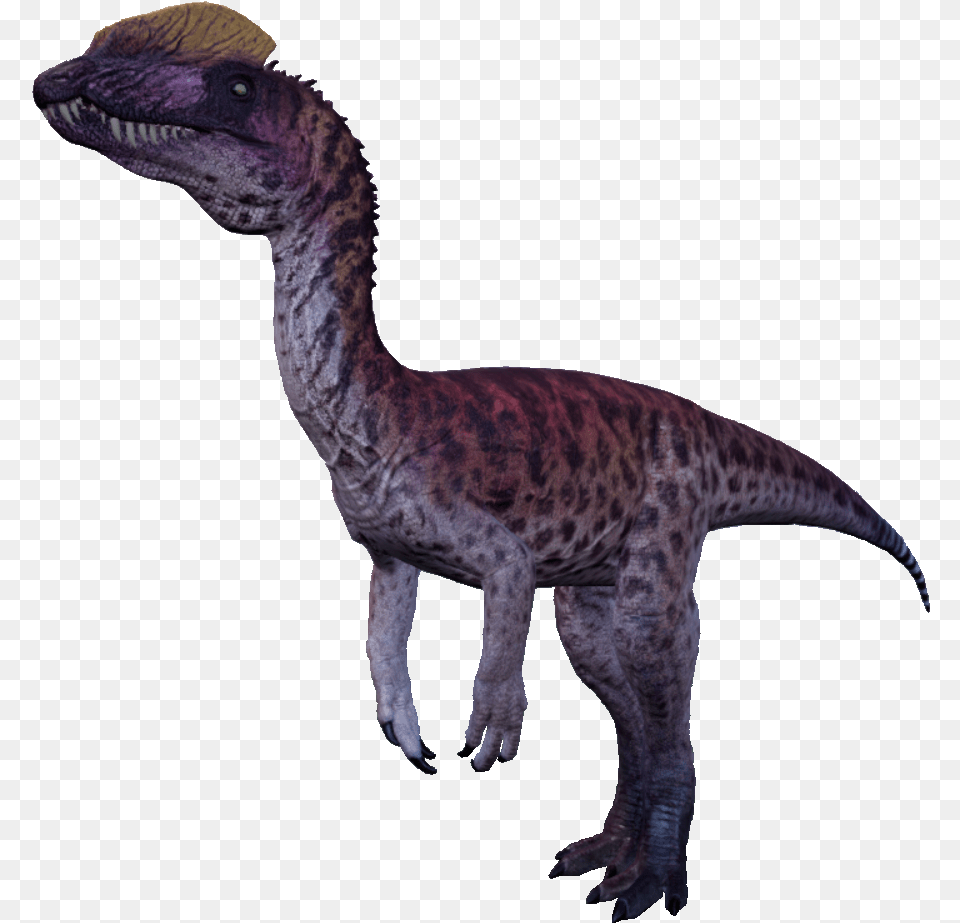 Diloplhosaurus Infobox Dilophosaurus The Isle, Animal, Dinosaur, Reptile, T-rex Png