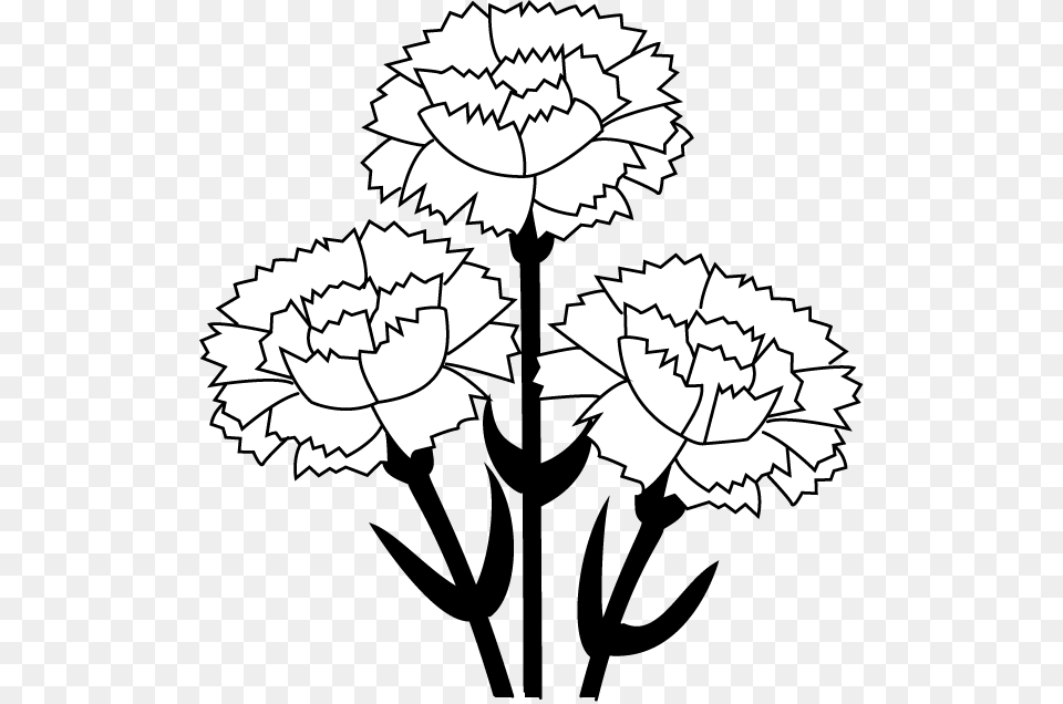 Dime Clip Art, Carnation, Flower, Plant, Drawing Free Png