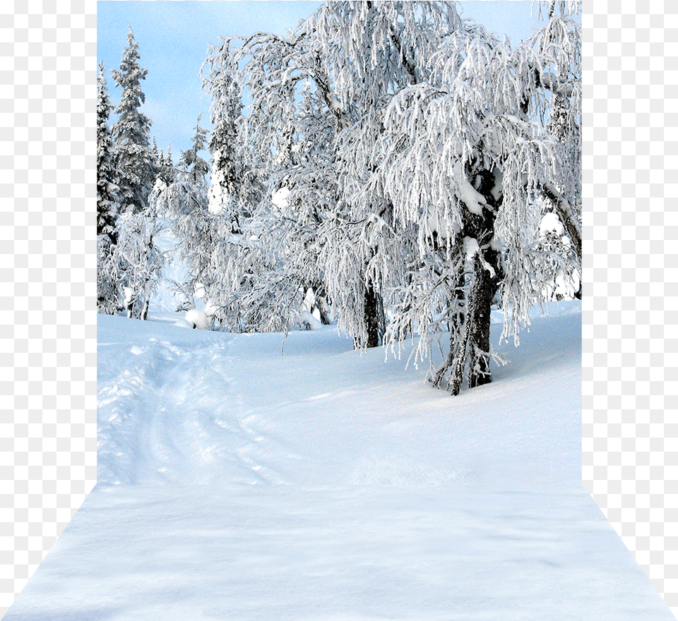 Dimensional View Of 1039x2039 Backdrop Snow, Ice, Nature, Outdoors, Plant Png