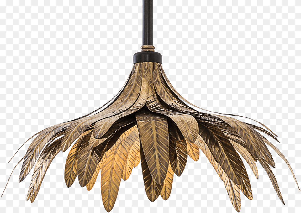 Dimore Studio Pendants, Chandelier, Lamp, Animal, Insect Free Png Download