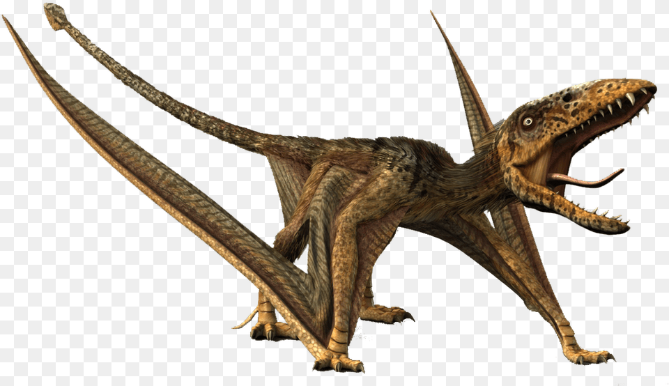 Dimorphodon, Animal, Dinosaur, Reptile, T-rex Png Image
