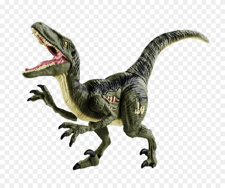 Dimorphodon Velociraptor Tyrannosaurus Jurassic Park Action Toy, Animal, Dinosaur, Reptile, T-rex Png Image