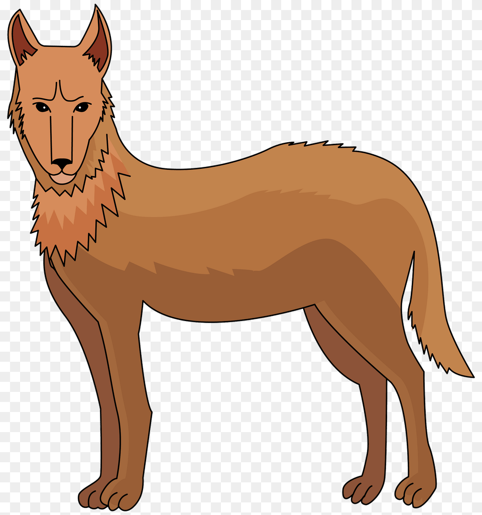 Dingo Clipart, Animal, Coyote, Mammal, Canine Free Transparent Png