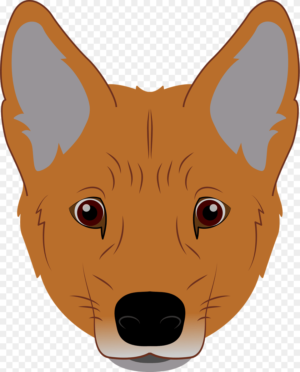 Dingo Face Clipart, Baby, Person, Animal, Mammal Free Transparent Png