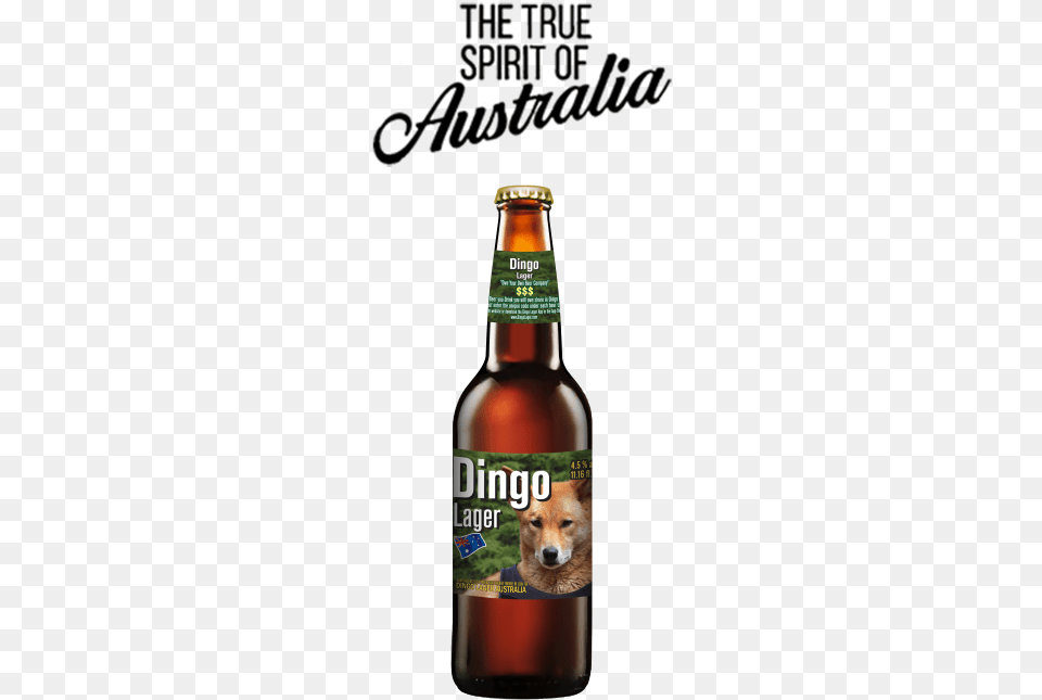 Dingo Lager Beer Bottle Beer, Alcohol, Beer Bottle, Beverage, Liquor Free Transparent Png