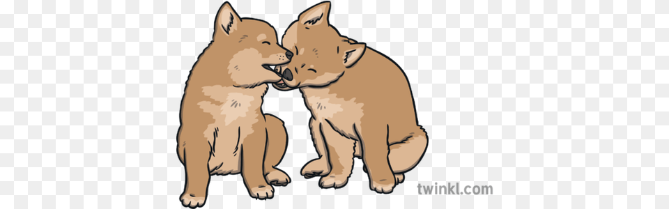 Dingo Puppies Illustration Twinkl Animal Figure, Coyote, Mammal, Bear, Wildlife Png Image