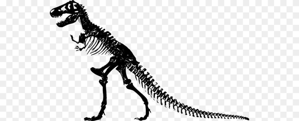 Dino Bones T Rex Skeleton Clip Art, Gray Png