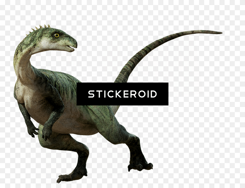 Dino Dinosaur, Animal, Reptile, T-rex Free Transparent Png
