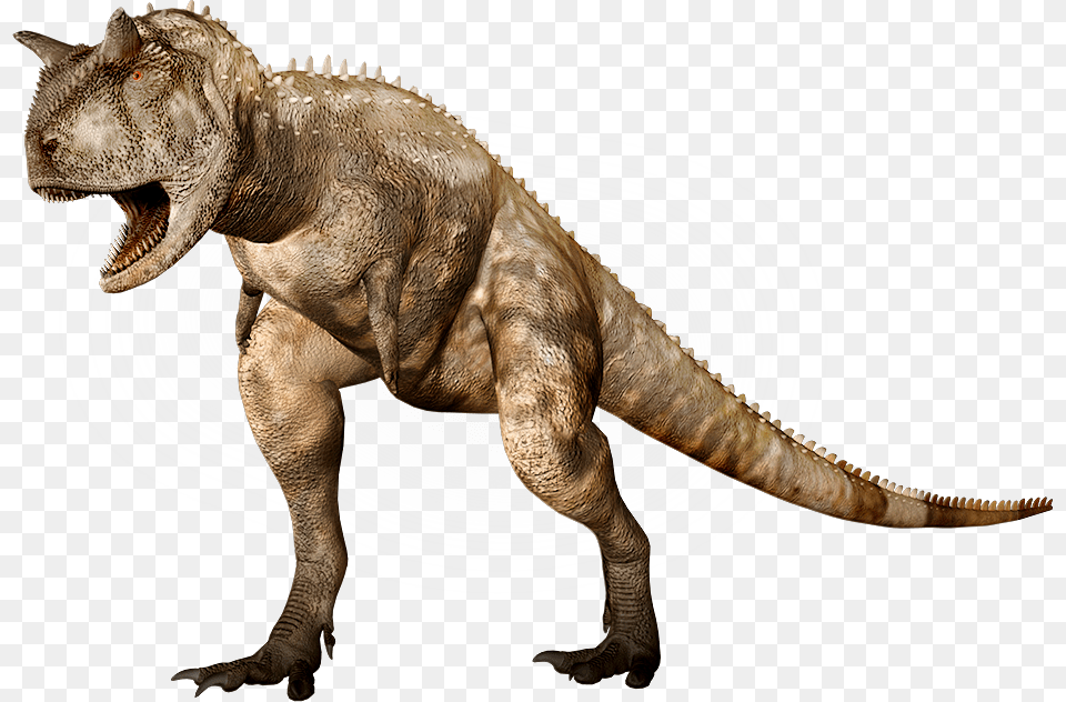 Dino Large Horns Dinosaur With Horns On Head, Animal, Reptile, T-rex Free Png