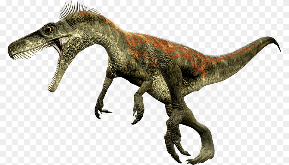 Dino Large Small, Animal, Dinosaur, Reptile, T-rex Png