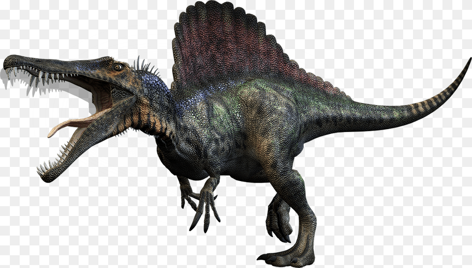 Dino Large Spino, Animal, Dinosaur, Reptile, T-rex Png Image