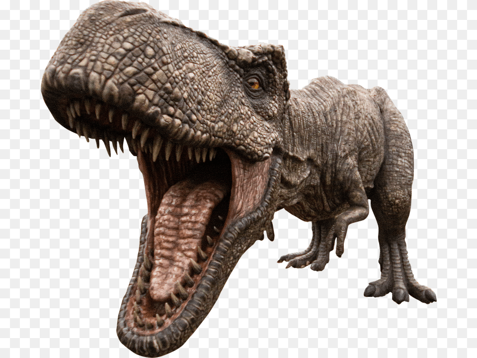 Dino Park, Animal, Dinosaur, Reptile, T-rex Png