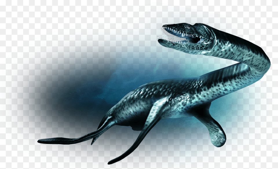 Dino Plesiosaurus Dinosaur, Aquatic, Water, Animal, Fish Png