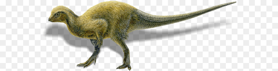 Dino Tyrannosaurus, Animal, Dinosaur, Reptile, T-rex Free Png