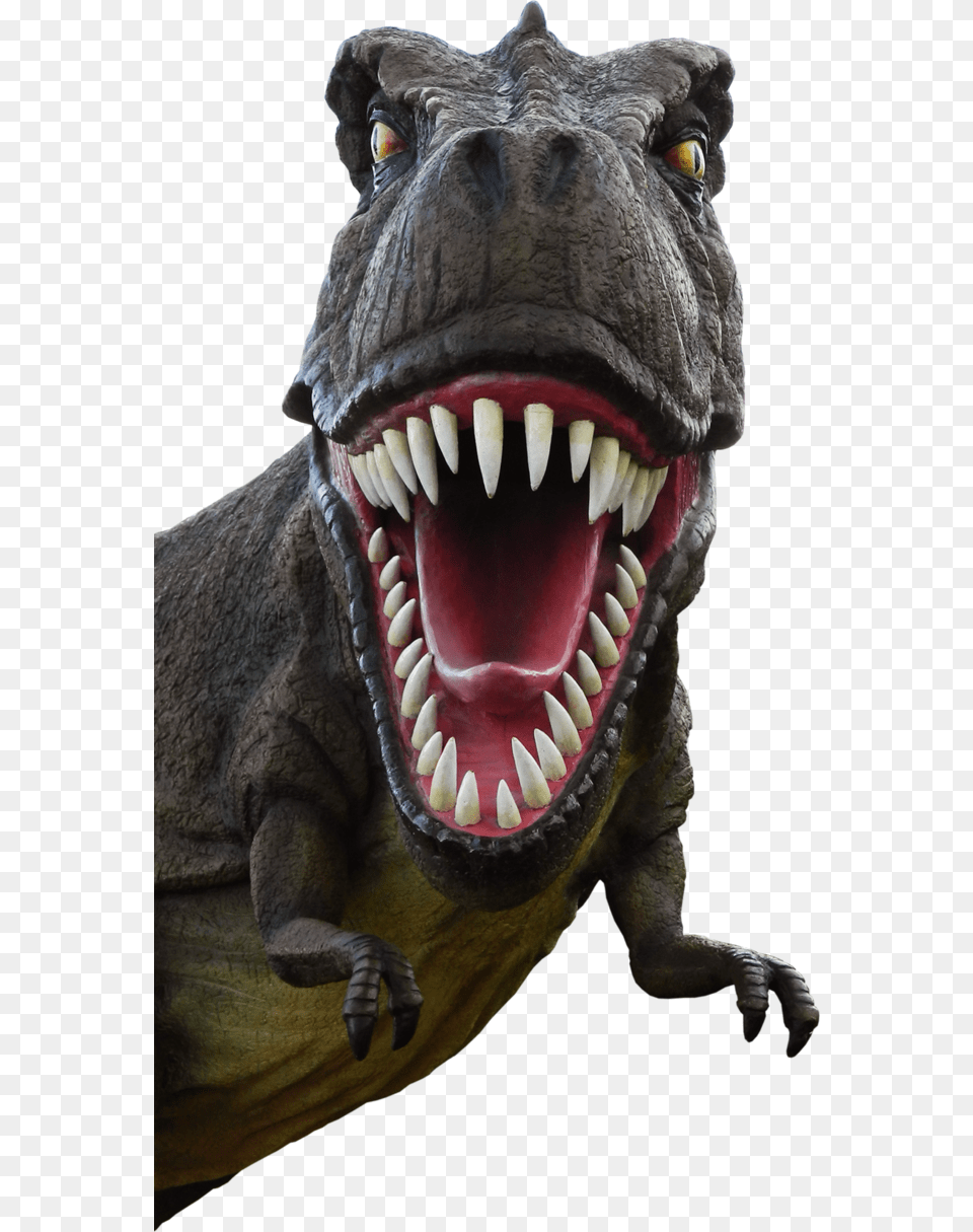Dinosaur 002 By Animal, Reptile, T-rex Free Png Download