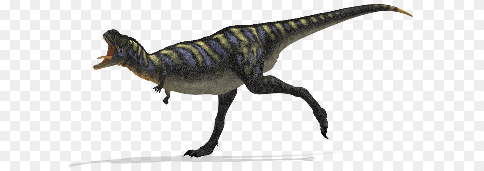 Dinosaur Animal, Reptile, T-rex Png