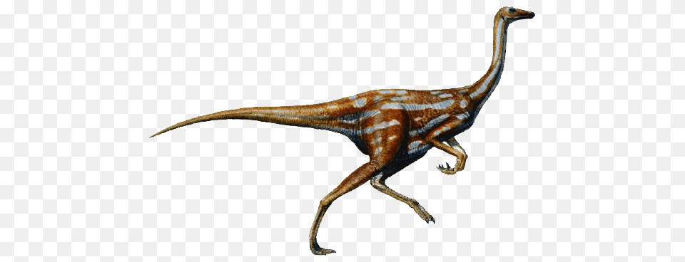 Dinosaur, Animal, Reptile, T-rex, Lizard Png Image
