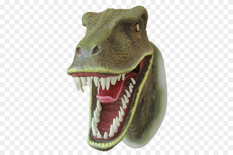 Dinosaur, Animal, Reptile, T-rex Free Png Download