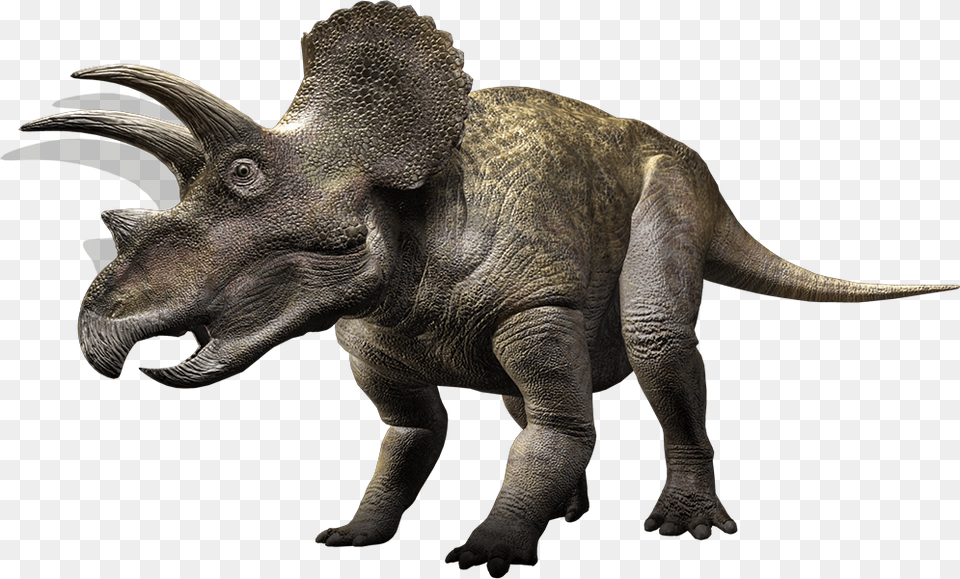 Dinosaur, Animal, Reptile Png Image