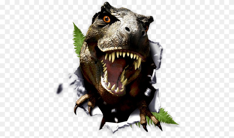 Dinosaur, Animal, Reptile, T-rex Free Png Download