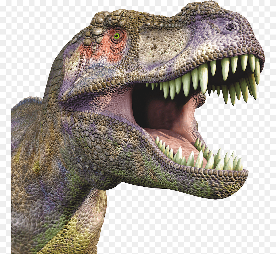 Dinosaur, Animal, Reptile, T-rex Png