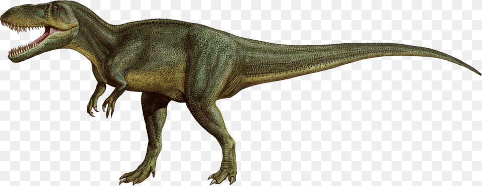 Dinosaur, Animal, Reptile, T-rex Free Png Download