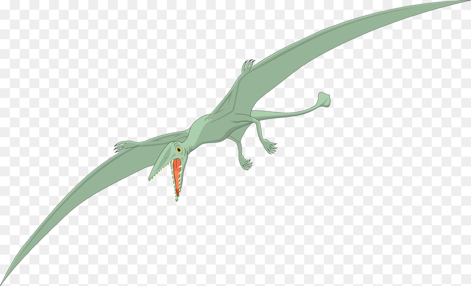Dinosaur, Animal, Bird, Flying, Blade Png Image