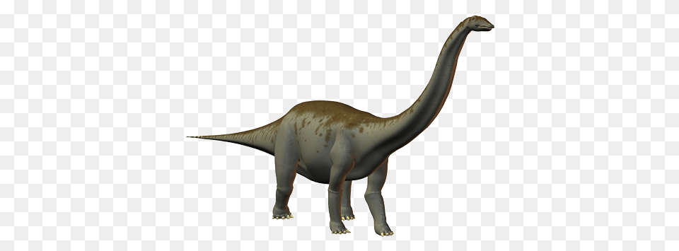 Dinosaur, Animal, Reptile, T-rex Png