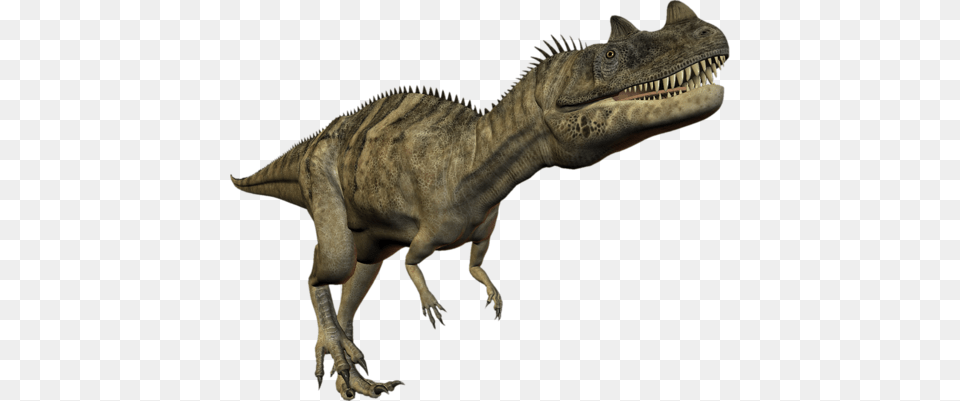 Dinosaur, Animal, Reptile, T-rex Free Transparent Png