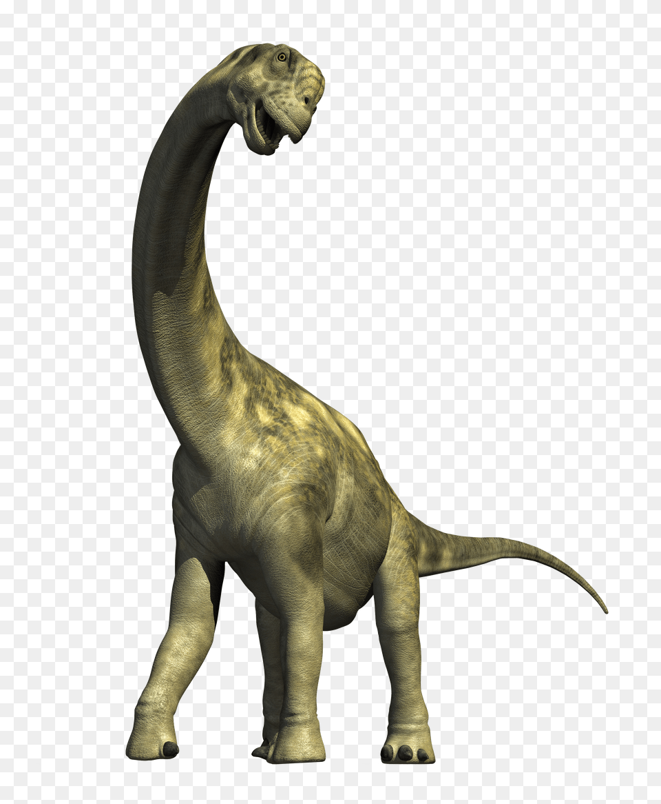 Dinosaur, Animal, Reptile, T-rex Free Png Download