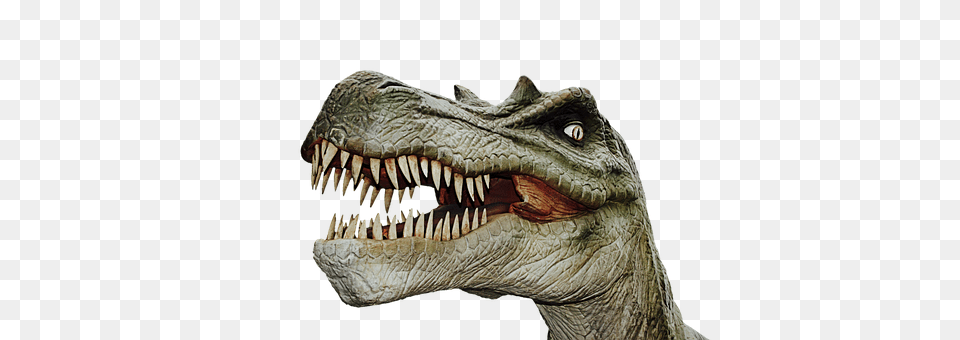 Dinosaur Animal, Reptile, T-rex Free Png