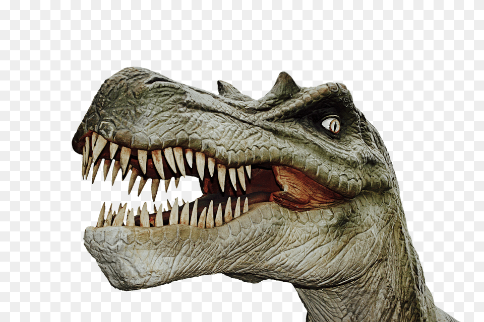 Dinosaur Animal, Reptile, T-rex Png Image