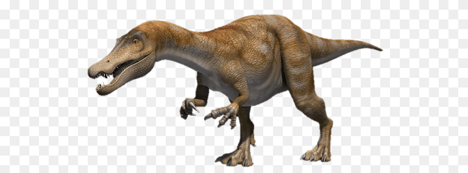 Dinosaur, Animal, Reptile, T-rex Free Png