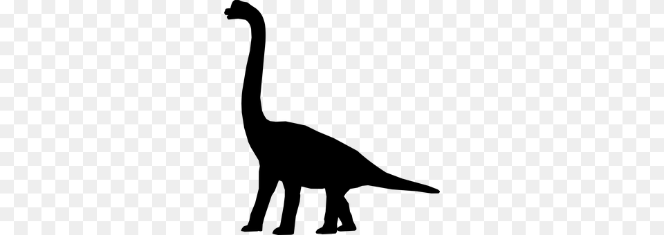 Dinosaur Gray Free Png