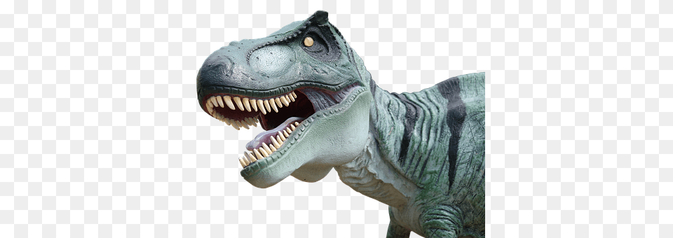 Dinosaur Animal, Reptile, T-rex, Fish Free Png Download