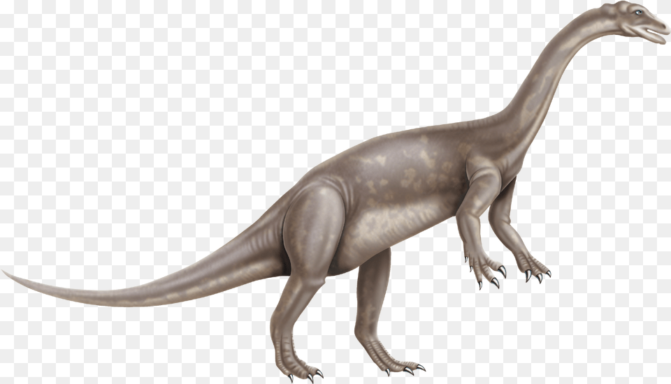 Dinosaur, Animal, Reptile, T-rex Png Image