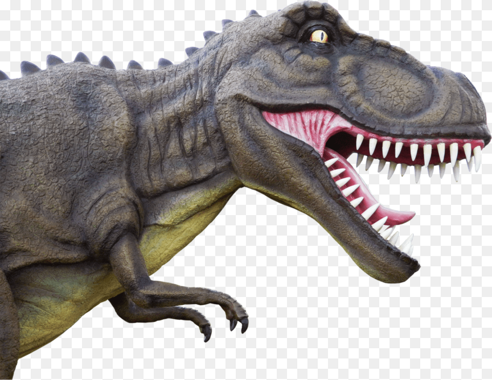 Dinosaur, Animal, Reptile, T-rex Free Png Download