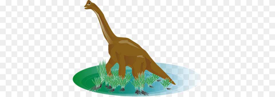 Dinosaur Animal, Reptile, T-rex Free Png Download