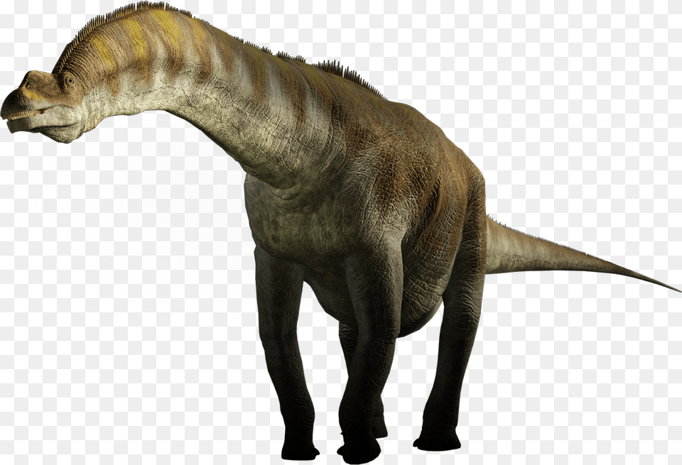 Dinosaur, Animal, Reptile, T-rex Free Transparent Png