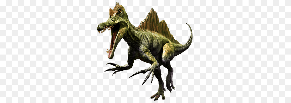 Dinosaur Animal, Reptile, T-rex Png Image