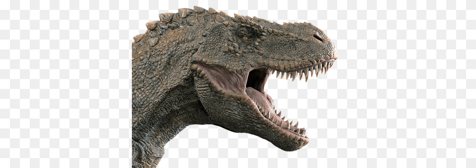 Dinosaur Animal, Reptile, T-rex, Lizard Png Image