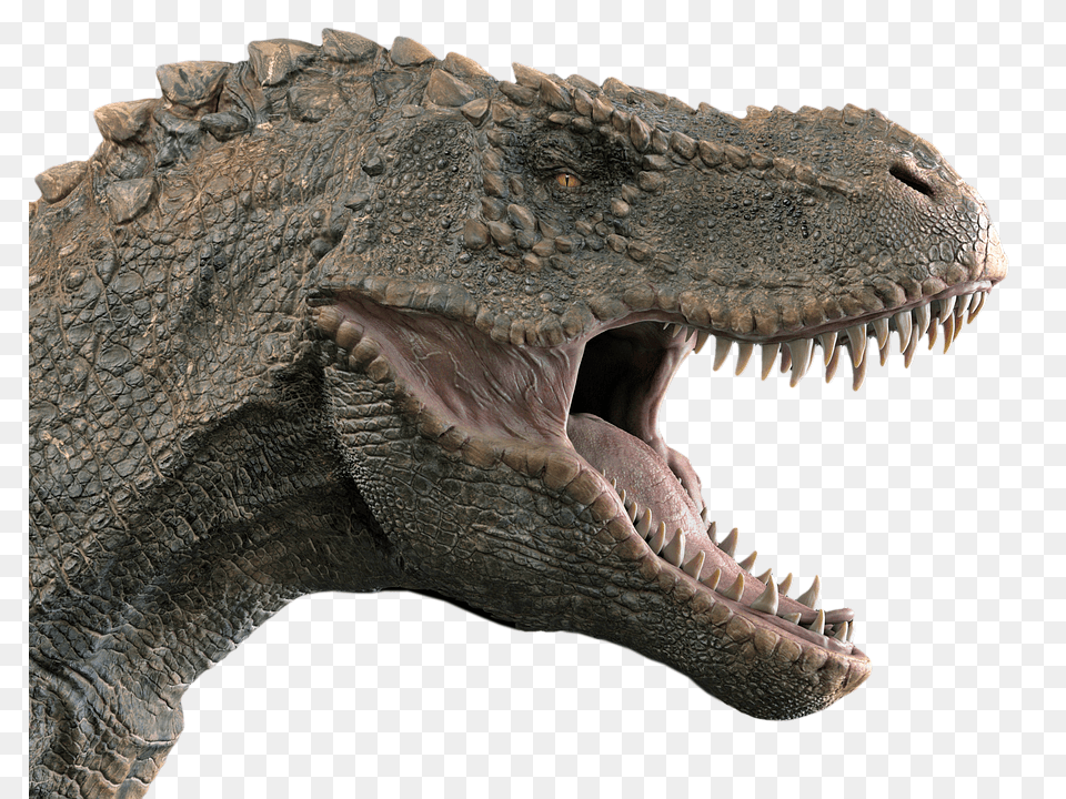 Dinosaur Animal, Reptile, T-rex Free Png