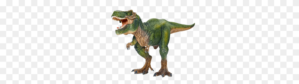 Dinosaur, Animal, Reptile, T-rex Png